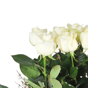 Fleurs en Deuil | mosaïque, macro sur les roses blanches