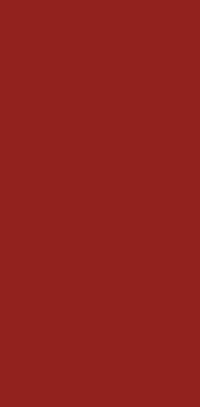Fleurs en Deuil | mosaïque, couleur dominante de la Raquette rouge & orange "L'Eclipse"