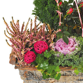 Fleurs en Deuil | mosaïque, zoom sur la décoration florale de la Composition de plantes deuil "Morphée"