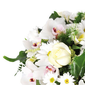 Fleurs en Deuil | mosaïque, zoom sur une rose blanche du Coeur de fleurs blanches "Nuage"