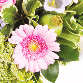 Fleurs en Deuil | mosaïque, vue sur un gerberas du Bouquet de fleurs rond deuil "Reflet"