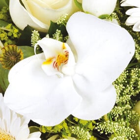 Fleurs en Deuil | mosaïque, zoom sur une orchidée du Bouquet de fleurs blanches deuil "Rêve Blanc"