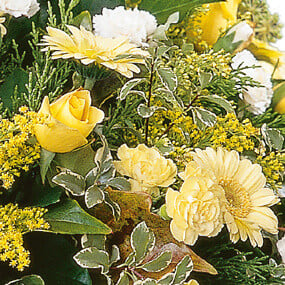 Fleurs en Deuil | mosaïque : vue sur une rose jaune du Coussin de fleurs deuil "Plénitude"
