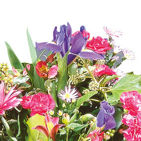 Fleurs en Deuil | mosaïque : vue sur des fleurs de la Raquette de fleurs deuil "Solstice"