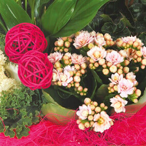 Fleurs en Deuil | mosaïques : sur sur un kalenkoé de la Composition de plantes vertes & Fleuries "Souvenir"