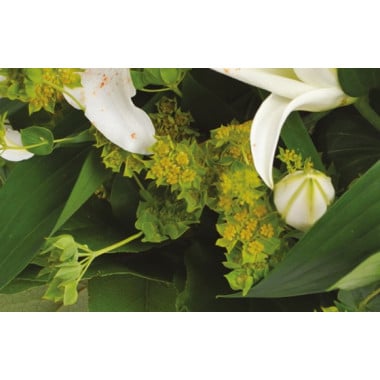 Fleurs en Deuil | zoom sur les buplurum du bouquet de deuil
