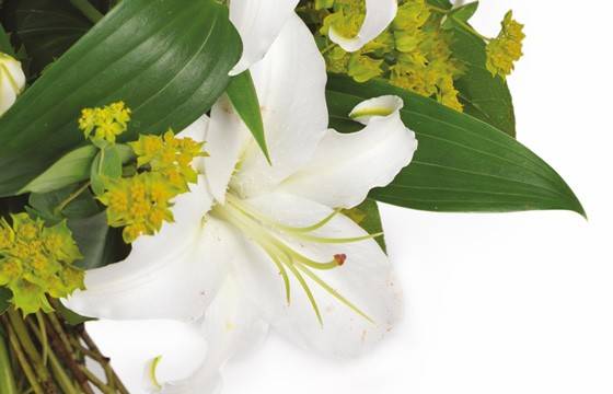 Fleurs en Deuil | zoom sur un lys blanc de la création florale Fleurs en Deuil | zoom sur un lys blanc de la création florale