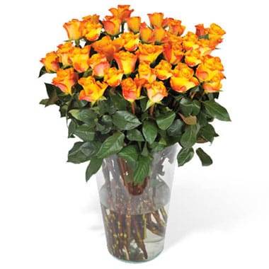 Fleurs en Deuil | image du Bouquet de Roses Oranges longues tiges