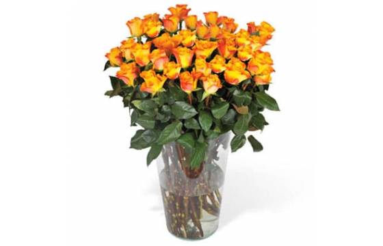 Fleurs en Deuil | image du Bouquet de Roses Oranges longues tiges
