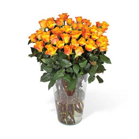 Fleurs en Deuil | image du Bouquet de Roses Oranges longues tiges