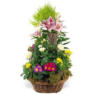 Fleurs en Deuil | image de la Coupe de plantes vertes & fleuries "Symphonie"