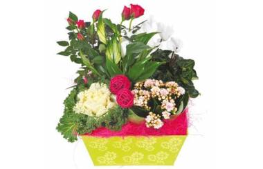 Fleurs en Deuil | image de la Composition de plantes vertes & Fleuries "Souvenir"