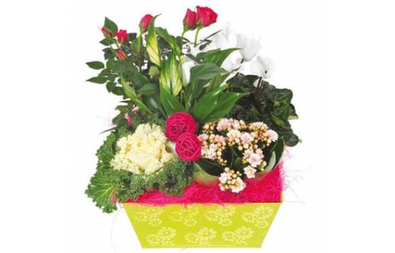 Fleurs en Deuil | image de la Composition de plantes vertes & Fleuries "Souvenir" Fleurs en Deuil | image de la Composition de plantes vertes & Fleuries "Souvenir"