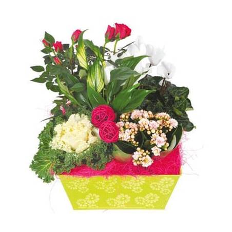 Fleurs en Deuil | image de la Composition de plantes vertes & Fleuries "Souvenir"