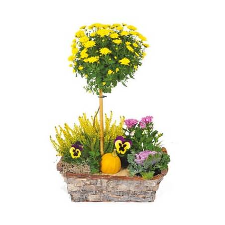 Fleurs en Deuil | image de la Composition de plantes jaunes & mauve "L'Oasis"