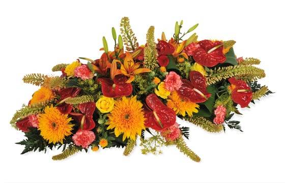 Fleurs en Deuil | image de la Raquette rouge & orange "L'Eclipse" Fleurs en Deuil | image de la Raquette rouge & orange "L'Eclipse"