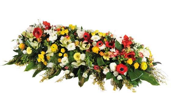 Fleurs en Deuil | image Raquettes fleurs colorées de deuil "Comète" Fleurs en Deuil | image Raquettes fleurs colorées de deuil "Comète"