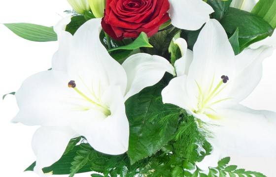 Fleurs en Deuil | zoom sur les lys du Bouquet linéaire de deuil "Mystère de Roses" Fleurs en Deuil | zoom sur les lys du Bouquet linéaire de deuil "Mystère de Roses"