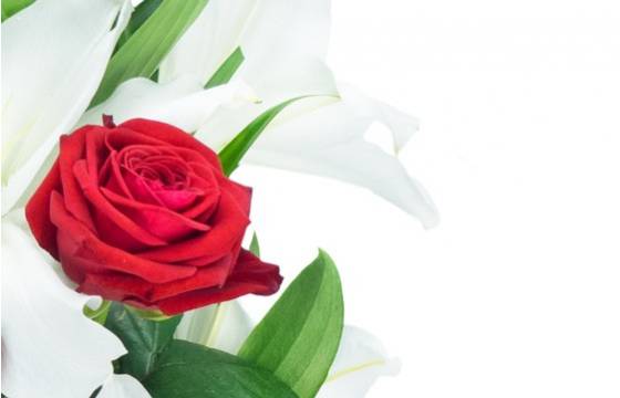Fleurs en Deuil | zoom sur une rose du Bouquet linéaire de deuil "Mystère de Roses"