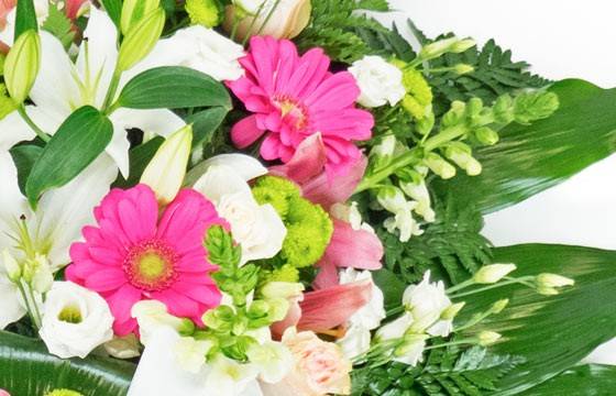 Fleurs en Deuil | zoom sur les gerberas roses de la Gerbe de deuil de fleurs roses & blanches Fleurs en Deuil | zoom sur les gerberas roses de la Gerbe de deuil de fleurs roses & blanches