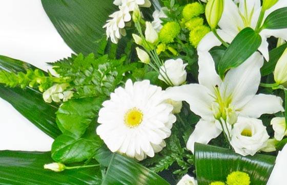 Fleurs en Deuil | vue sur les gerberas de la Gerbe de fleurs deuil blanche Fleurs en Deuil | vue sur les gerberas de la Gerbe de fleurs deuil blanche