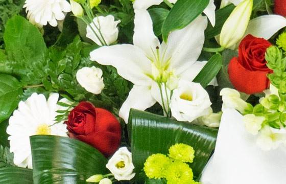 Fleurs en Deuil | zoom sur des lys, roses rouges et bergeras blancs de la Gerbe de deuil de fleurs rouges & blanches Fleurs en Deuil | zoom sur des lys, roses rouges et bergeras blancs de la Gerbe de deuil de fleurs rouges & blanches