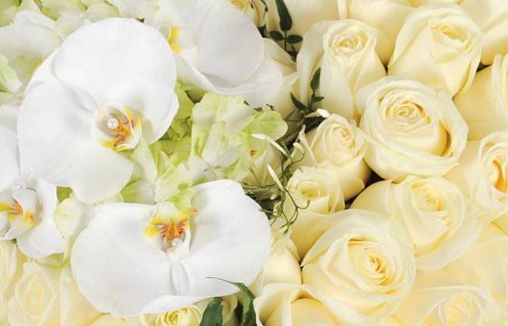 Fleurs en Deuil | zoom sur le centre du coeur en fleurs sur les roses blanches et orchidées Fleurs en Deuil | zoom sur le centre du coeur en fleurs sur les roses blanches et orchidées