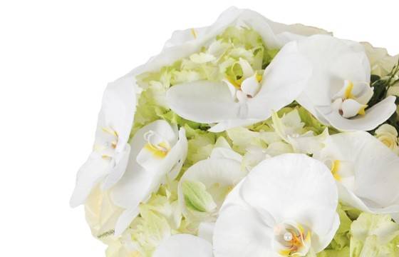 Fleurs en Deuil | vue sur les orchidées blanches Fleurs en Deuil | vue sur les orchidées blanches