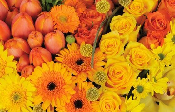 Fleurs en Deuil | zoom sur le centre du Coeur en fleurs tons orangés "Murmure" Fleurs en Deuil | zoom sur le centre du Coeur en fleurs tons orangés "Murmure"