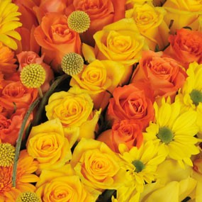 Fleurs en Deuil | mosaïque : zoom sur les roses jaune et orange