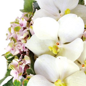 Fleurs en Deuil | mosaïque, vue sur des orchidées vanda blanches