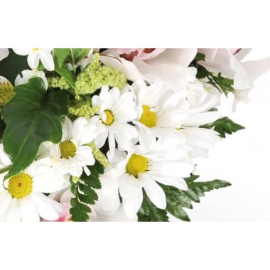 Fleurs en Deuil | zoom sur les germinis de couleur blanche du Coeur de fleurs blanches "Nuage"