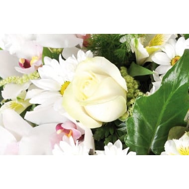 Fleurs en Deuil | zoom sur une magnifique rose blanche du Coeur de fleurs blanches "Nuage"