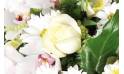 Fleurs en Deuil | zoom sur une magnifique rose blanche du Coeur de fleurs blanches "Nuage"