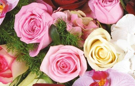 Fleurs en Deuil | zoom sur des roses roses et une rose blanche du Coeur en fleurs de deuil "Tristesse" Fleurs en Deuil | zoom sur des roses roses et une rose blanche du Coeur en fleurs de deuil "Tristesse"