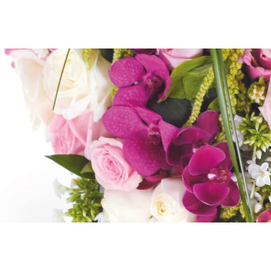 Fleurs en Deuil | vue sur les orchidées du Coeur en fleurs blanches & roses deuil "Songe"