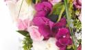 Fleurs en Deuil | vue sur les orchidées du Coeur en fleurs blanches & roses deuil "Songe"
