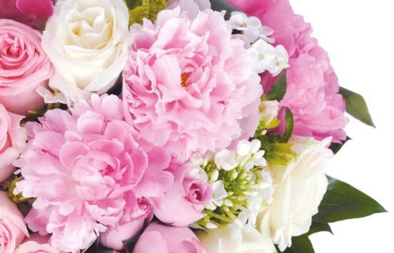 Fleurs en Deuil | vue sur de magnifique pivoine de couleurs roses du Coeur en fleurs blanches & roses deuil "Songe" Fleurs en Deuil | vue sur de magnifique pivoine de couleurs roses du Coeur en fleurs blanches & roses deuil "Songe"