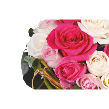 Fleurs en Deuil | vue sur une rose rose