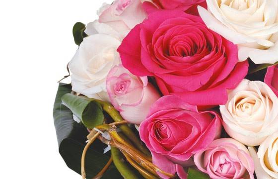Fleurs en Deuil | vue sur une rose rose Fleurs en Deuil | vue sur une rose rose