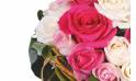 Fleurs en Deuil | vue sur une rose rose