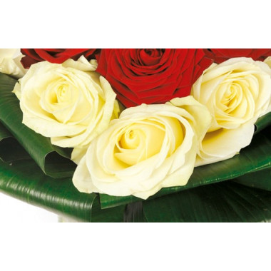 Fleurs en Deuil | zoom sur les roses blanches du bouquet de roses