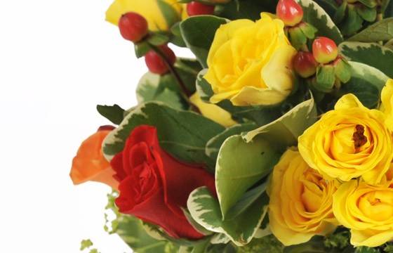 Fleurs en Deuil | zoom sur une rose jaune et rouge du Bouquet de roses rouges, jaunes, oranges "Panama"