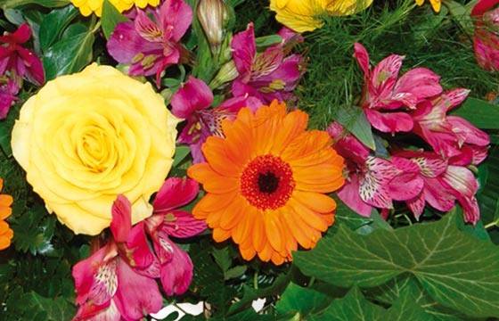 Fleurs en Deuil | vue sur le centre du Coussin de fleurs orangées de deuil "Univers" Fleurs en Deuil | vue sur le centre du Coussin de fleurs orangées de deuil "Univers"