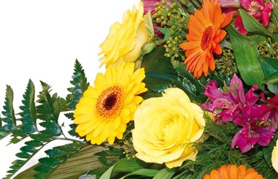 Fleurs en Deuil | vue sur des roses jaunes et gerberas jaunes du Coussin de fleurs orangées de deuil "Univers" Fleurs en Deuil | vue sur des roses jaunes et gerberas jaunes du Coussin de fleurs orangées de deuil "Univers"