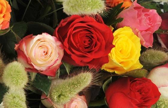 Fleurs en Deuil | zoom sur une magnifique rose rouge de la Composition de roses piquée "Florever"