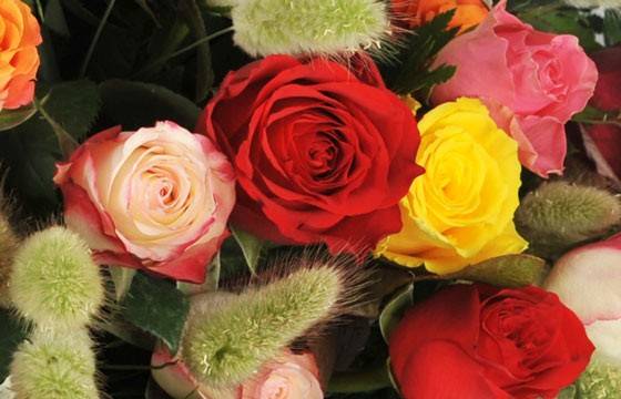 Fleurs en Deuil | zoom sur une magnifique rose rouge de la Composition de roses piquée "Florever" Fleurs en Deuil | zoom sur une magnifique rose rouge de la Composition de roses piquée "Florever"