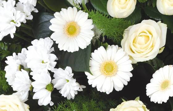 Fleurs en Deuil | zoom sur les fleurs du Coussin de fleurs blanches "Pureté" Fleurs en Deuil | zoom sur les fleurs du Coussin de fleurs blanches "Pureté"