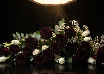 Signification de la rose noire : symbolique, deuil et hommages floraux